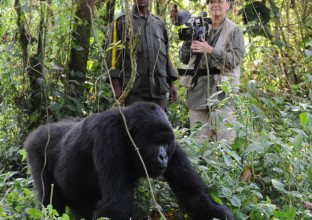 Safari special “Gorilla” en Ouganda