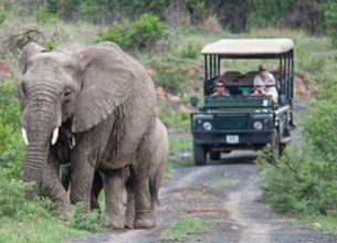Paysages et safaris sud-africains en autotour