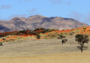 Namibie, le grand sud