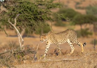 La Rivière Perdue La Rivière Perdue