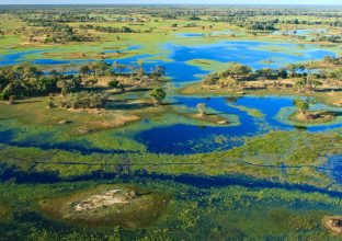 Botswana & Chutes Victoria : immersion dans la vie sauvage Botswana & Chutes Victoria : immersion dans la vie sauvage