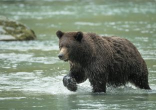 YUKON – ALASKA YUKON – ALASKA