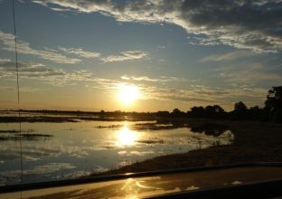 Récit de voyage…Botswana safari authentique avec Alexis…Anne-Laure…Avril 2025 Récit de voyage…Botswana safari authentique avec Alexis…Anne-Laure…Avril 2025