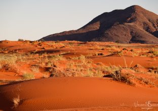 Namibie, le grand sud Namibie, le grand sud