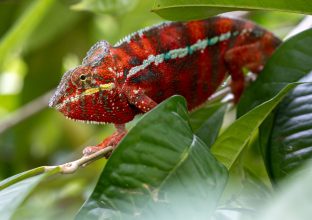 Mada Tsiky, le voyage solidaire Mada Tsiky, le voyage solidaire