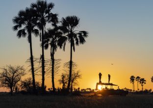 Kalahari Dreams Kalahari Dreams