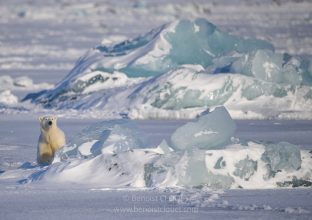 SVALBARD : Lumières d’hiver SVALBARD : Lumières d’hiver